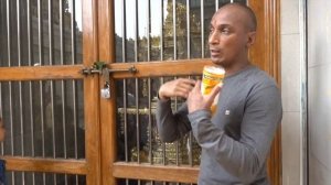 Экскурсии в Гоа "Гокарна, Мурдешвар и пляж Ом" Познайте настоящую Индию!