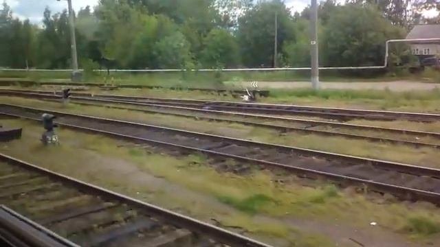 Небольшое путешествие по Савелке от Савелово до Белого Городка