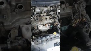 Замена резинки уплотнения крышки клапанов Nissan primera p12