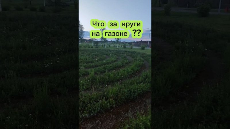 Что за круги на газоне?