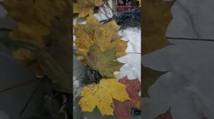 Поделка в детский сад. Осенний венок