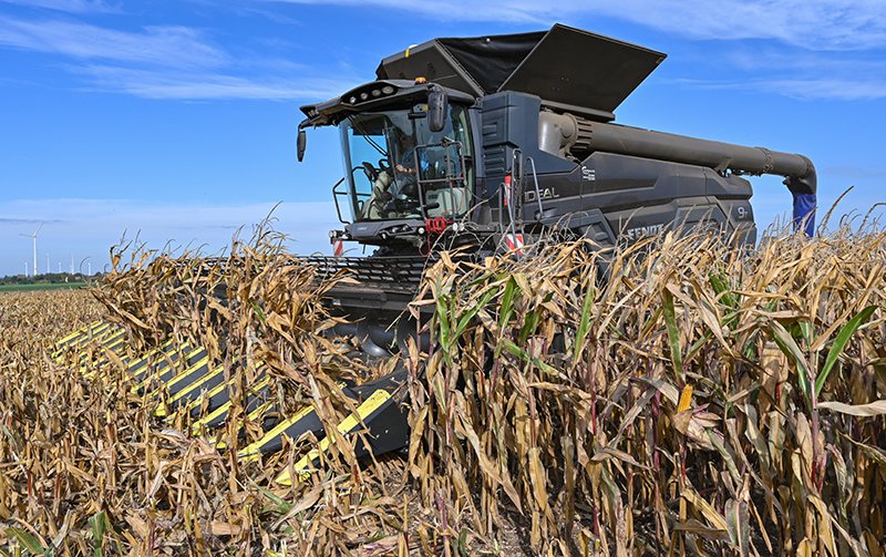 Дешевое украинское зерно грозит европейским фермерам разорением / События на ТВЦ