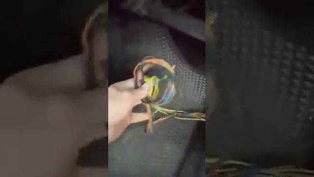 Правильная проводка в твоём авто! Кулибин!