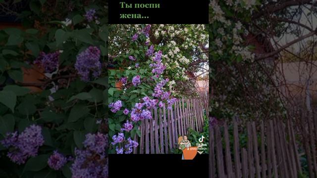 Видео для души."Ты поспи жена..." Фото зарисовки. Село Долгодеревенское.