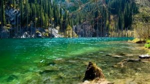 Озеро Каинды - затонувший лес в Казахстане