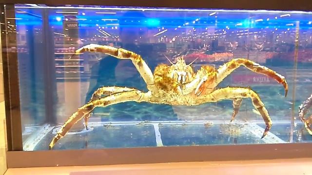 Сахалинский краб смотреть онлайн