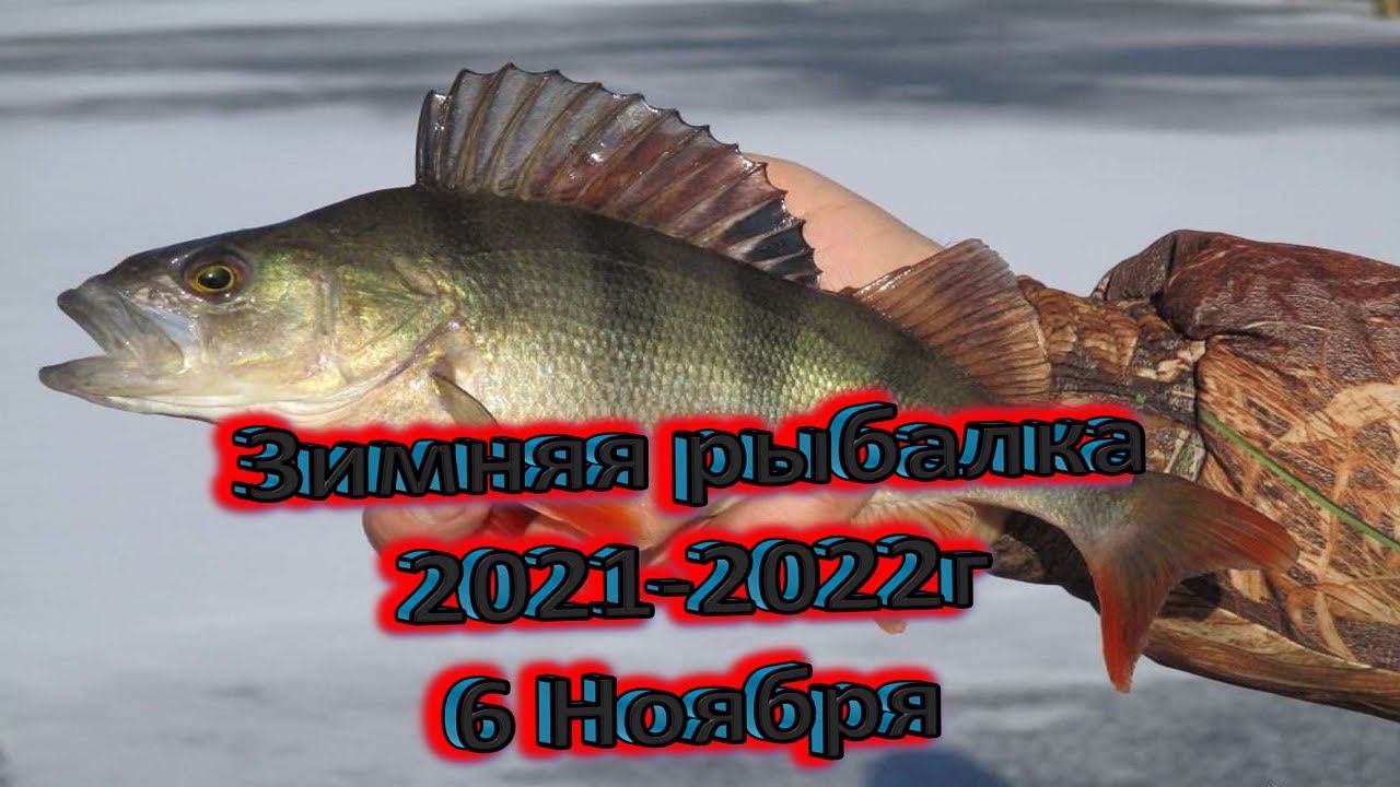 Зимняя рыбалка 2021-2022..озеро Колок#зимняярыбалка#первыйлёд#Колок