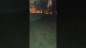 мем итальянская песня