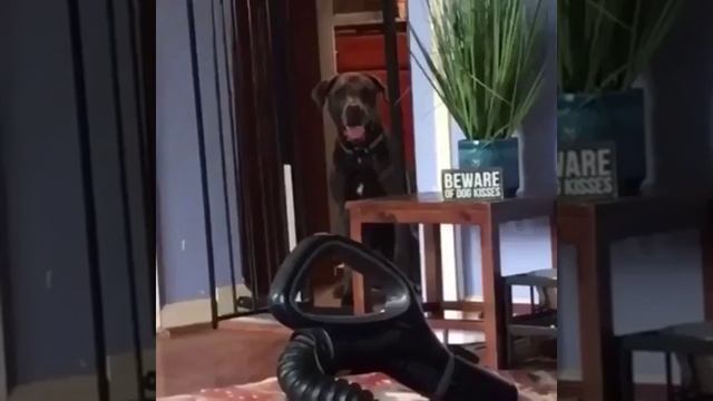 Запрещённый приём ?