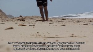 К чему снится ноги? Толкование сна и его значение по сонникам Фрейда и Ванги