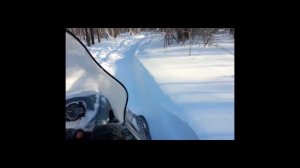 Снегоход Тайга Барс в лесу