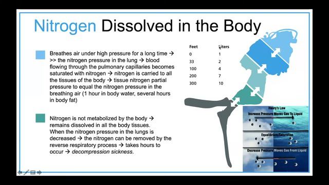 Fisiologi Penyelaman dan Keadaan Hiperbarik (Physiology of Sea-Deep Diving and Hyperbaric Condition смотреть онлайн