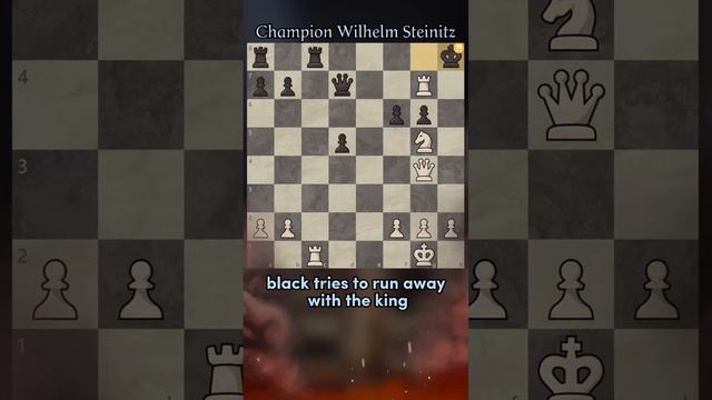 Wilhelm Steinitz ⬆️⬆️ #chess #checkmate #échecs #шахматы #chesscom #chessmate #schach #chessgame