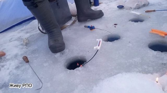 Истра опять удивляет...Истринское водохранилище 25.12.21