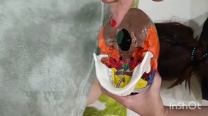 Большое затылочное отверстие