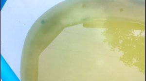 Быстро и бюджетно фильтр-насос для каркасного бассейна