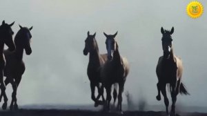 Детская песенка про Лошадку