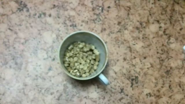 Как ухаживать за морской свинкой смотреть онлайн