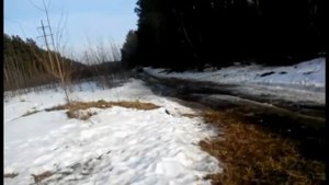 Покатушки выходного дня на Киа Спортейдж 1