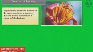 Morphology of Flowering Plants Flowers - Class 11 CBSE in English