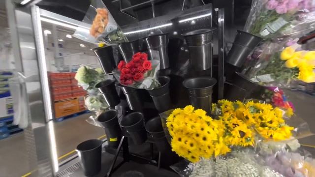 Костко 14 сентября 22. Костко СантаРоза Калифорния GerekC