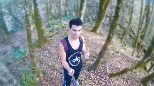 Сочи. Тисо-самшитовая роща. Выходные в Сочи. смотреть онлайн