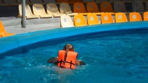 Настёна и Есения купаются с ДЕЛЬФИНАМИ/ Swimming with dolphins