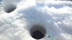 Ловля сорожки на Уткуле