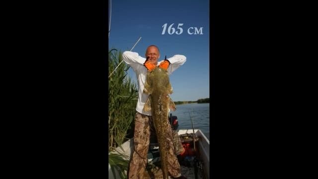 Рыбалка в Казахстане на сома, озеро Балхаш