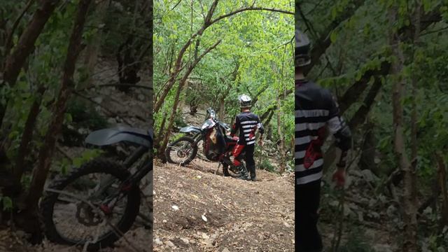 Отличный день для катки Нефертити