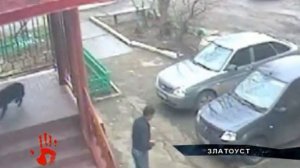 На глазах у детей живодер застрелил собаку