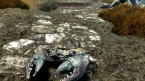 Skyrim PS4: Mudcrab kill, now you f***** up!