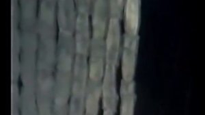 Паразитические плоские черви.  Таблицы и видео