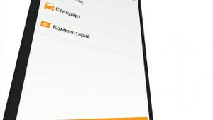 Liga Taxi. Демонстрация работы приложения для заказа такси_RUS