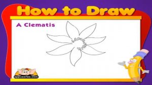 Learn to Draw Flower - Draw a Clematis