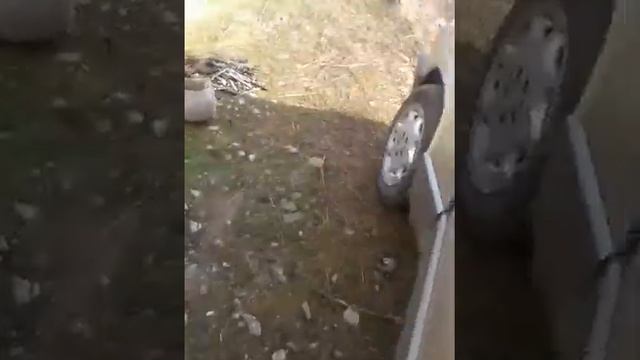 Регулировка тнвд на месте мерс 602 мотор смотреть онлайн