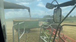 Уборка пшеницы 2023г, в Германии! Комбайн Claas Lexion 770.