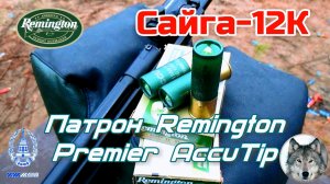 Патрон Remington Premier AccuTip 12К на 100 м. (Remington Premier AccuTip bullet 12/70 at 100 m)