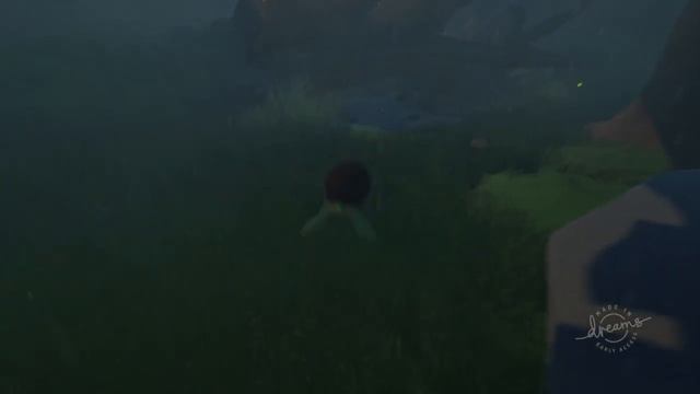 Unknown Turtle Game (Dreams) смотреть онлайн