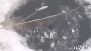 Приколы НА Рыбалке 2020 ДО СЛЕЗ -- трофейная рыбалка - Неудачи НА Рыбалке