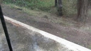 Зайку бросила хозяйка, под дождем остался зайка.