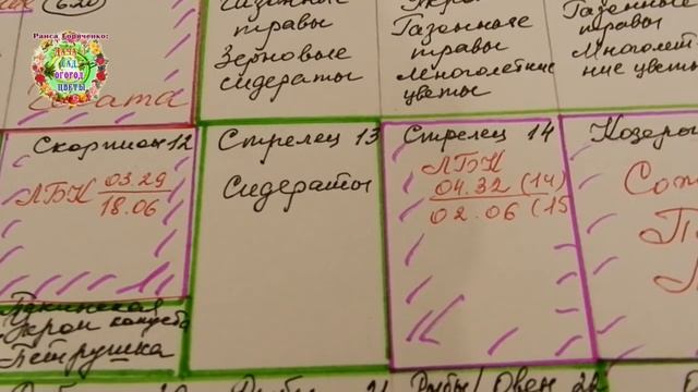 Лунный посевной календарь на июль 2019 года. Когда сеять семена дайкона, черной редьки, пекинки смотреть онлайн