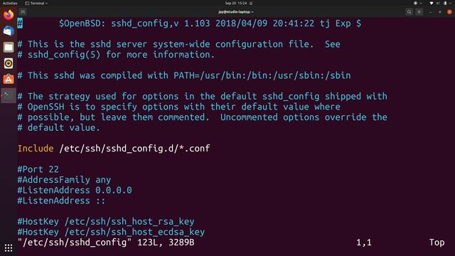 Master the Linux Command Line: Background & Foreground Jobs to Swap Tasks with the fg and bg Comman смотреть онлайн