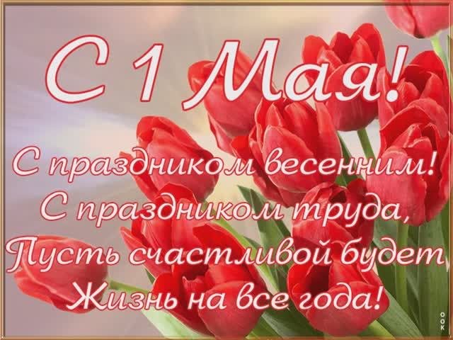 Чижова Дарья НГСр-22(9)-1