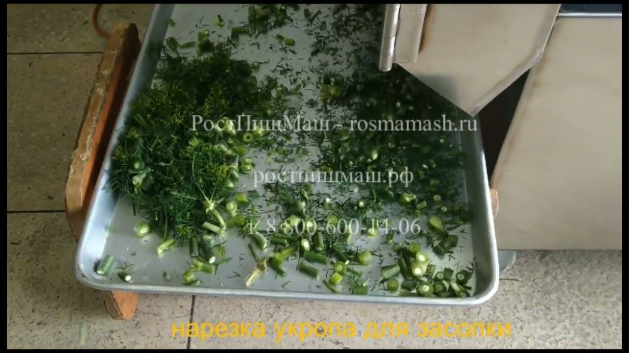 Нарезка укропа на Овощерезке SL-JL-801от РостПищМаш смотреть онлайн