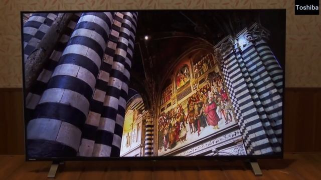 Which Is Better Motorola ZX Pro With IPS Panel or VU With VA Panel | IPS Panel vs VA Panel смотреть онлайн