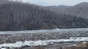Шуга пошла на Шилке.#погода #апрель #забайкалье