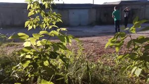 Скрытая съёмка Обезьян|МОРТАЛ КОМБАТ В РЕАЛЬНОЙ ЖИЗНИ