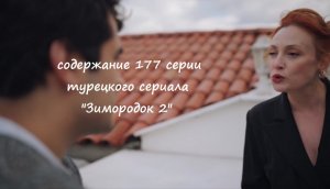 Содержание 177 серии (20 турецкая) второго сезона сериала "Зимородок" (РФ, 2023 / 2024)