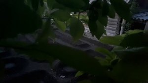 Защити свой огород от завистников.